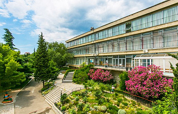 мисхор5