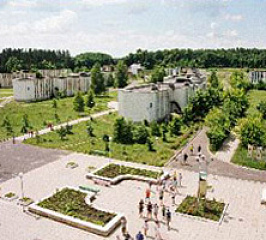 Детский оздоровительный лагерь «Лесная поляна»
